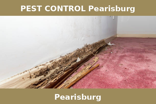PEST CONTROL Pearisburg